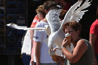 За секунду до курьезной ситуации 