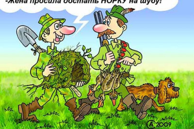 Если есть к чему-то охота, то это здорово!