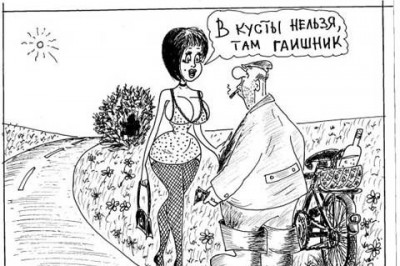 Кусты возле дороги как правило заняты гаишниками