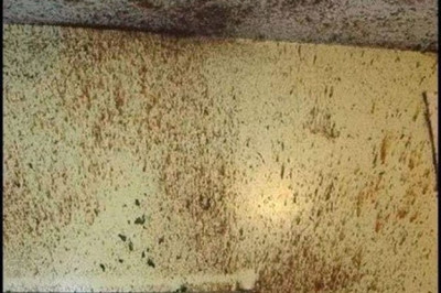 Опасная кулинария на кухне 