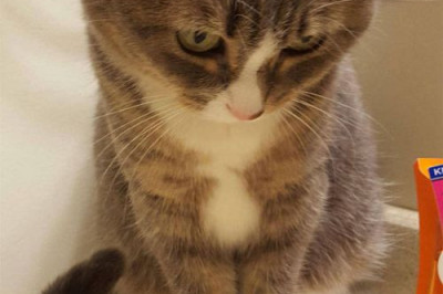 Маловата уже коробочка