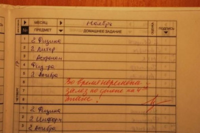 Замечания учителей в дневниках