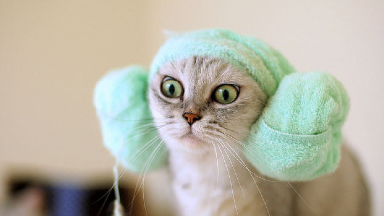 По-настоящему умилительно 