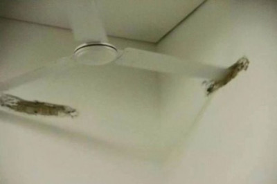 Шедевры строительного мастерства 