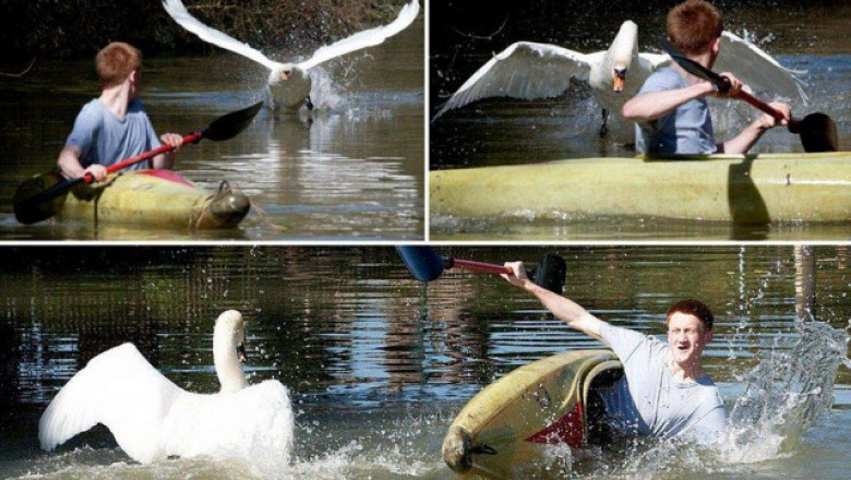 Всяко разные неприятности 