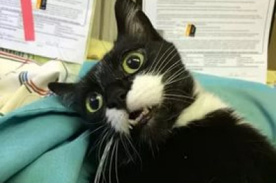 Порядочность на первом месте!