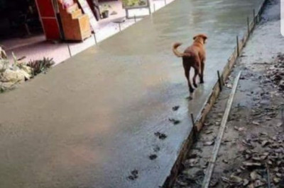 Вот как-то так  ...