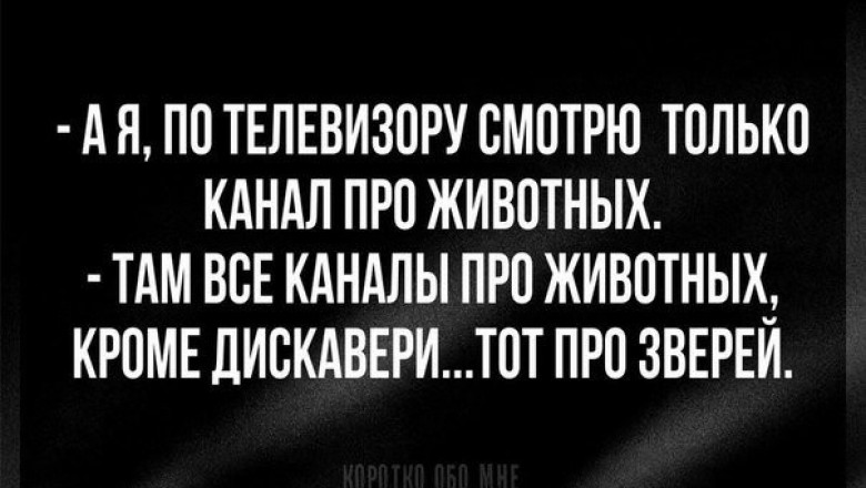 Юморинки пятницы 