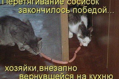 И пусть недолго счастье длилось