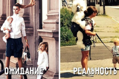 Ожидания и суровая реальность 