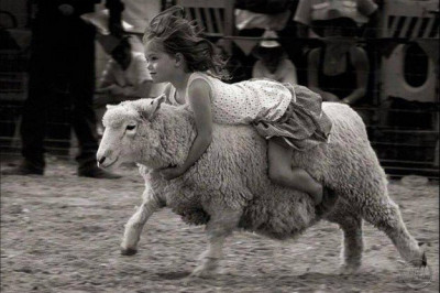 Детишки весело развлекаются 