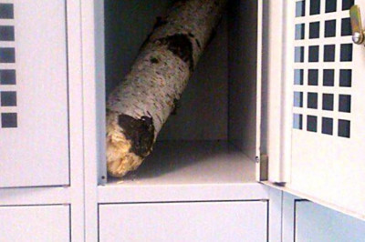 Ценные вещи в камерах хранения 