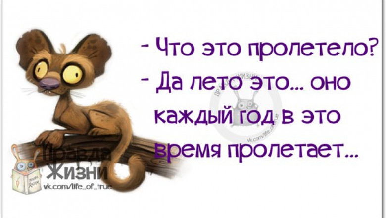 Гуляю перед сном каждый вечер! То по одному сайту, то по другому…
