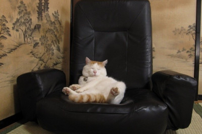 Полное блаженство 