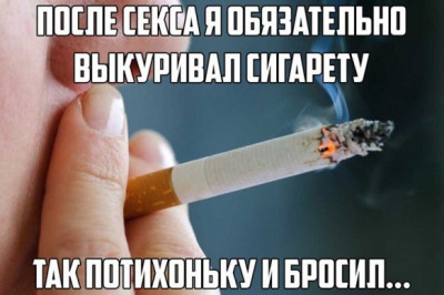 Комментарии и высказывания 