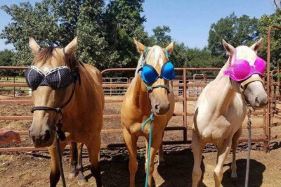 Девушки решили повеселиться 