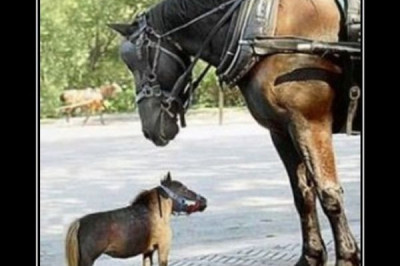 Курение медленно убивает