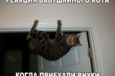 Здесь заряд позитива 