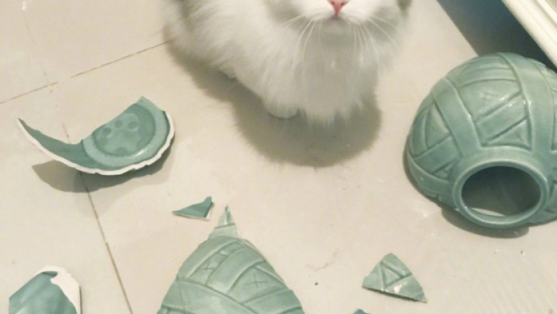 Забавное в картинках 