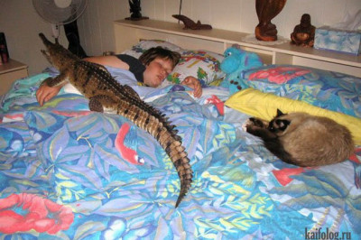Люди с необычными домашними питомцами 
