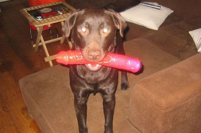 У каждой вещи должно быть свое место