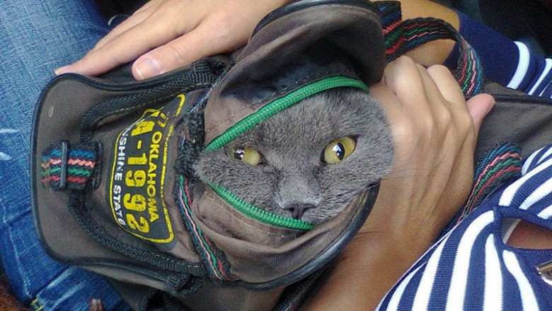 Весёлые картинки вторника 