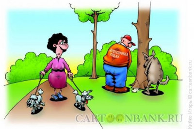 Если пёс стал милее человека, возможно, человек превратился в собаку