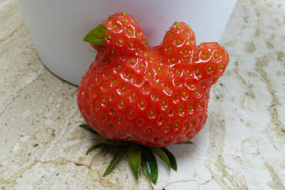 Шалости природы 