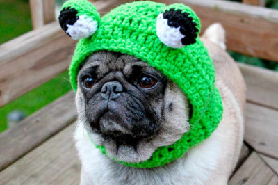 Когда враг становится лучшим другом