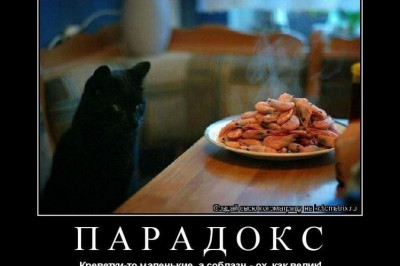 Парадоксы и объяснения  