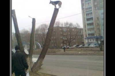 Загадочные обстоятельства