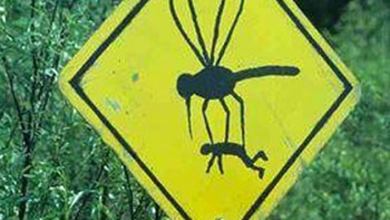 Дорожные знаки возле Чернобыля 