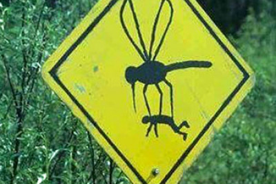 Дорожные знаки возле Чернобыля 