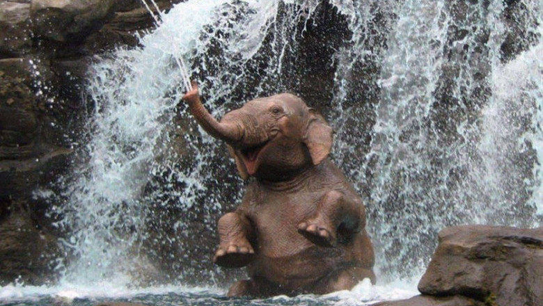 Фотографии , не требующие комментариев 