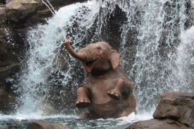 Фотографии , не требующие комментариев 