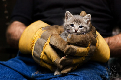 Добрые люди есть !