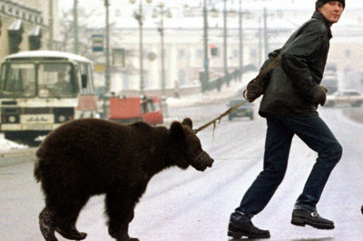 Прогулка с необычными домашними питомцами 