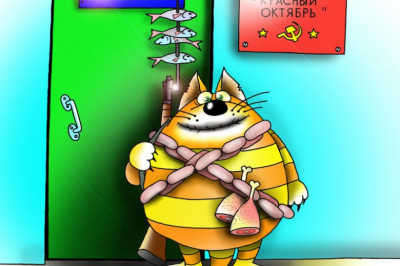 Настоящая любовь - это когда помыл кота, а он всё равно к тебе пришёл