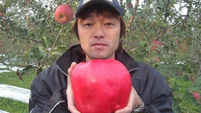 Мега овощи и фрукты 