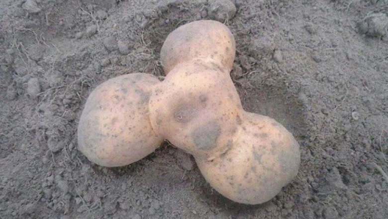 Для настроения выходного дня 