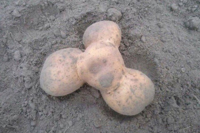 Для настроения выходного дня 