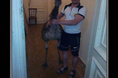 Люди завели себе необычных питомцев 