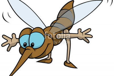 Ночная  спецоперация