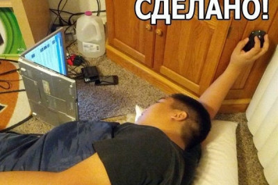 Удобно им так отдыхать и работать 