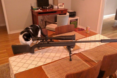 Забавные моменты 