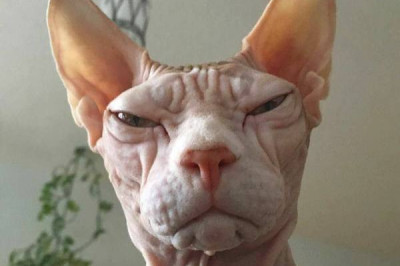 Что я вижу каждое утро 