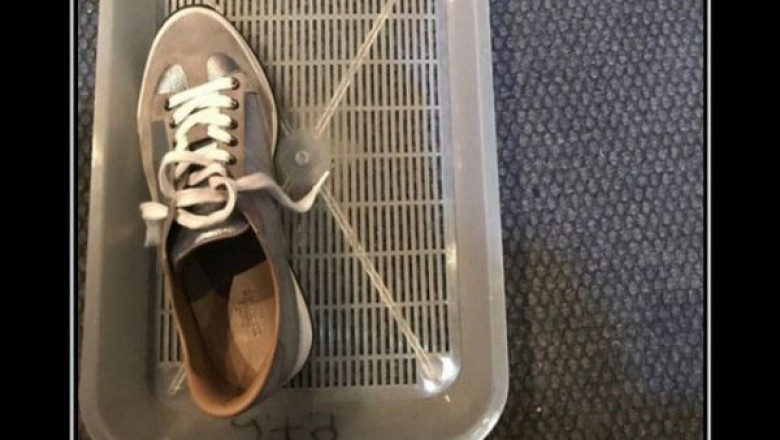 Как приучить кота к лотку 