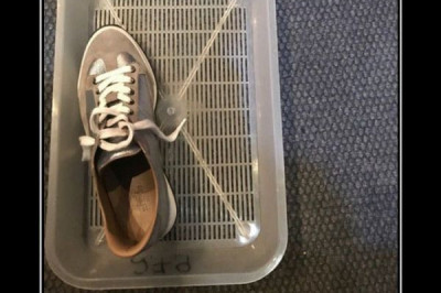 Как приучить кота к лотку 