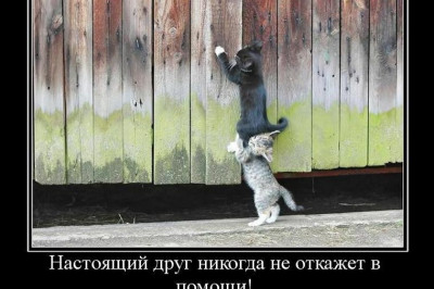 Настоящий друг никогда не откажет в помощи 