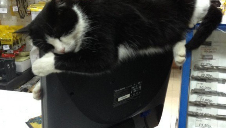 Уютное место для отдыха 